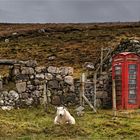 Der Hüter der Telefonzelle