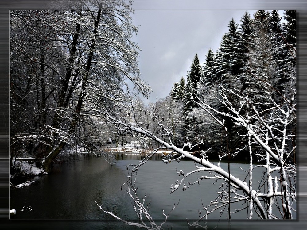 Der Hüttenweiher in Gosenbach