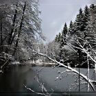 Der Hüttenweiher in Gosenbach