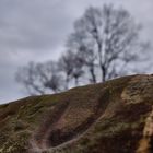 Der Hufabdruck an der Burgmauer in Nürnberg 