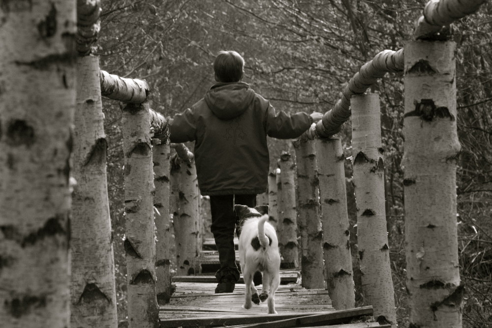 Der Hund begleitet den Menschen auf all' seinen Wegen