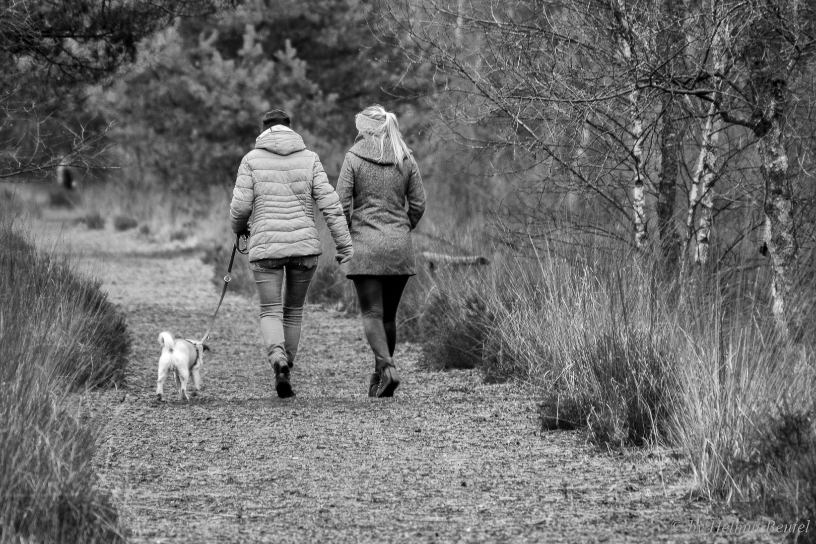 Der Hund braucht Bewegung - der Mensch natürlich auch!