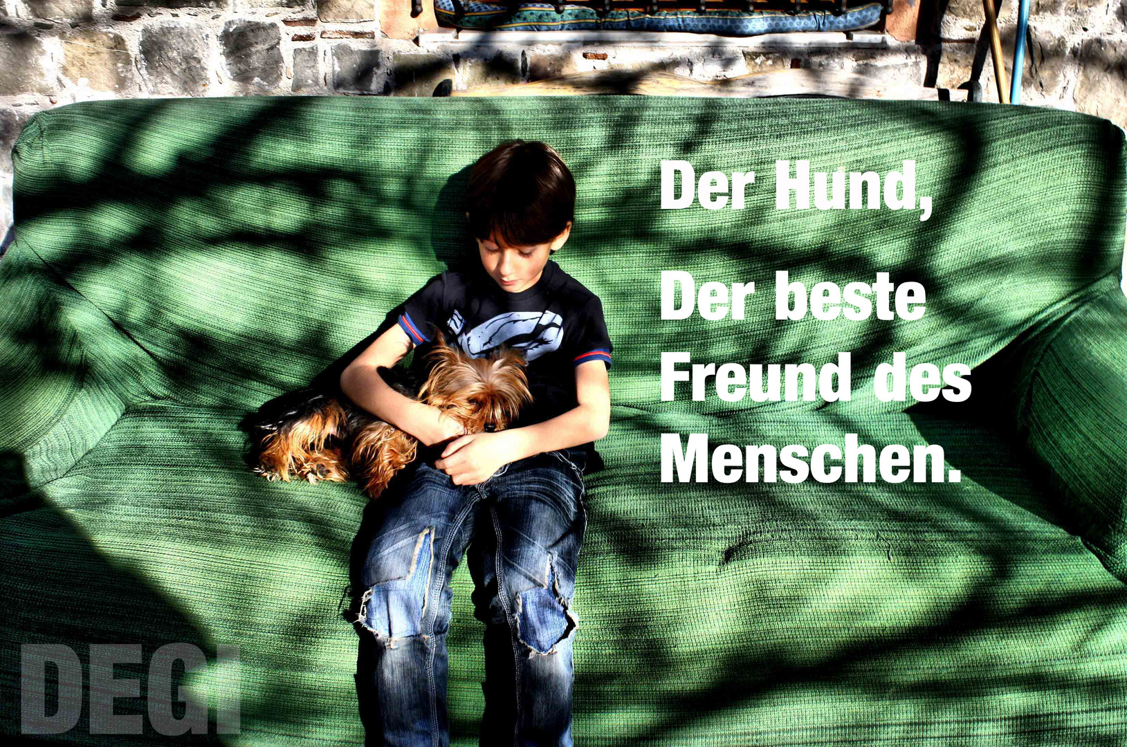 DER HUND, DER BESTE FREUND DES MENSCHEN