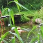 der Hund, die Leiter, der Steg und die Frau in der Nuthe