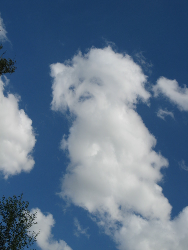 Hund Wolke