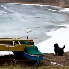 Der Hund und das Meer