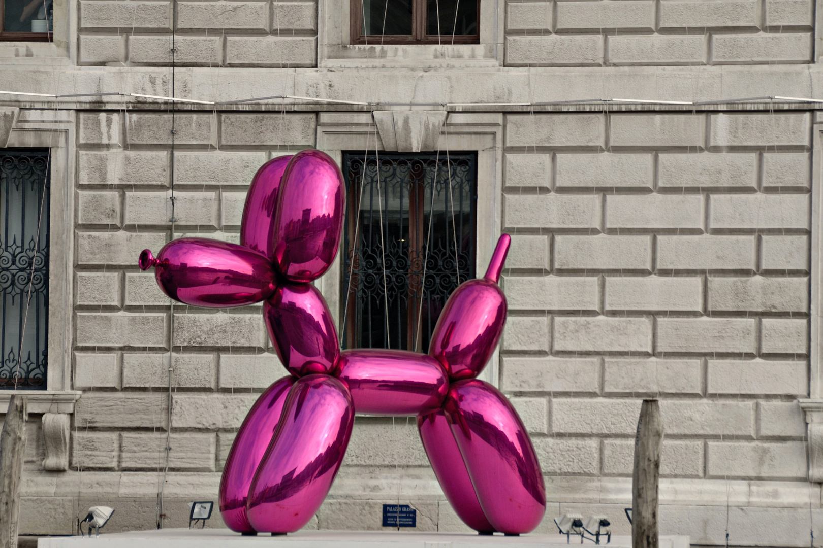 Der Hund von Jeff Koons