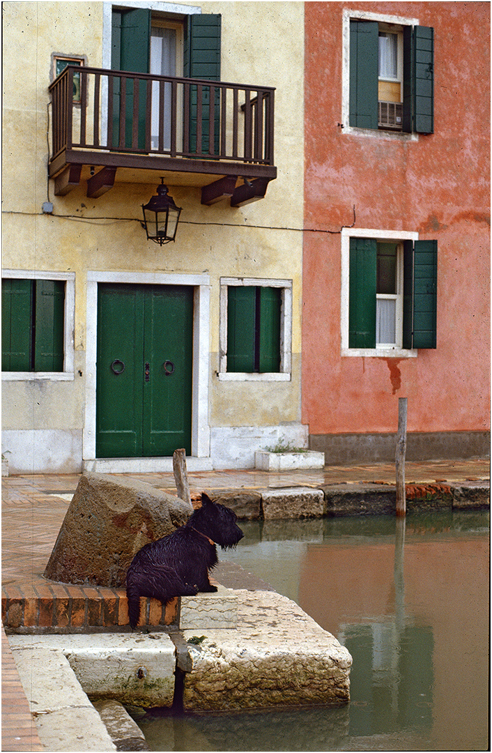 Der Hund von Torcello