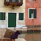 Der Hund von Torcello