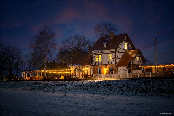 Der Hundertjährige...