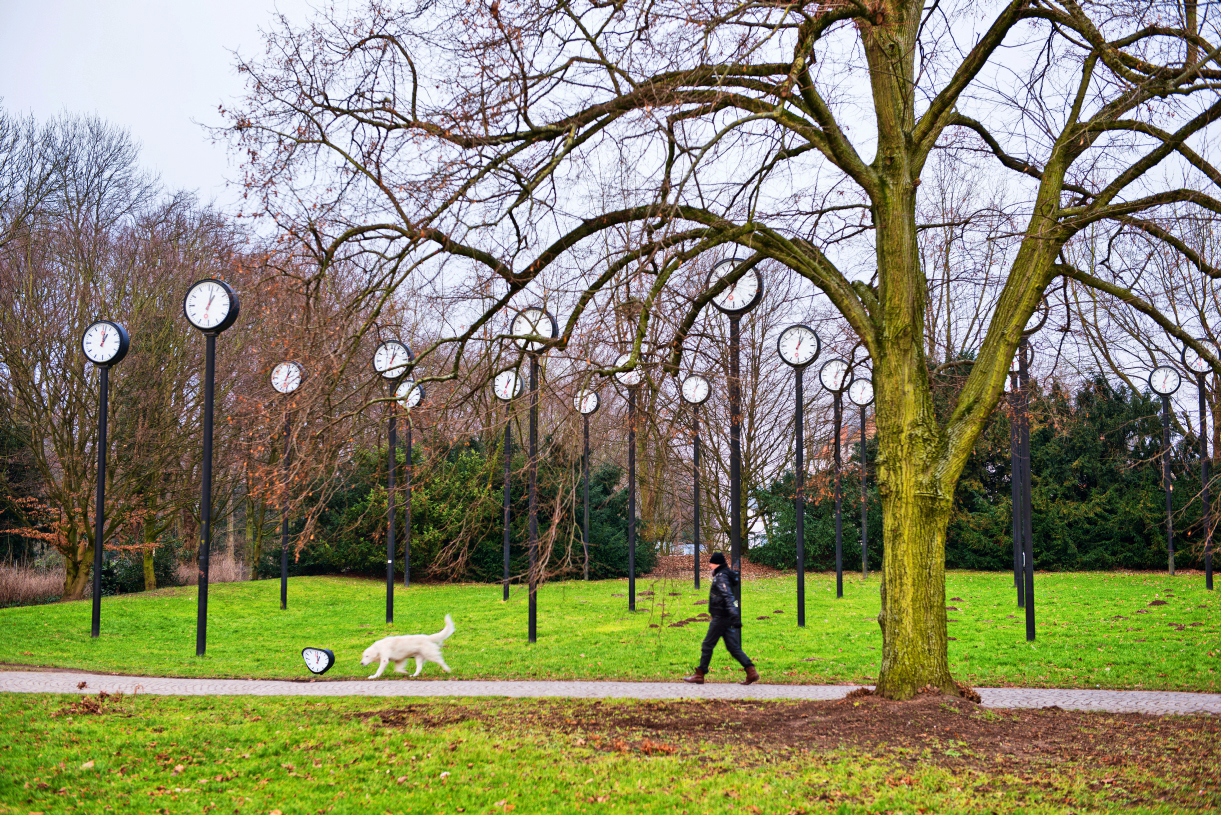 Der Hundespielball