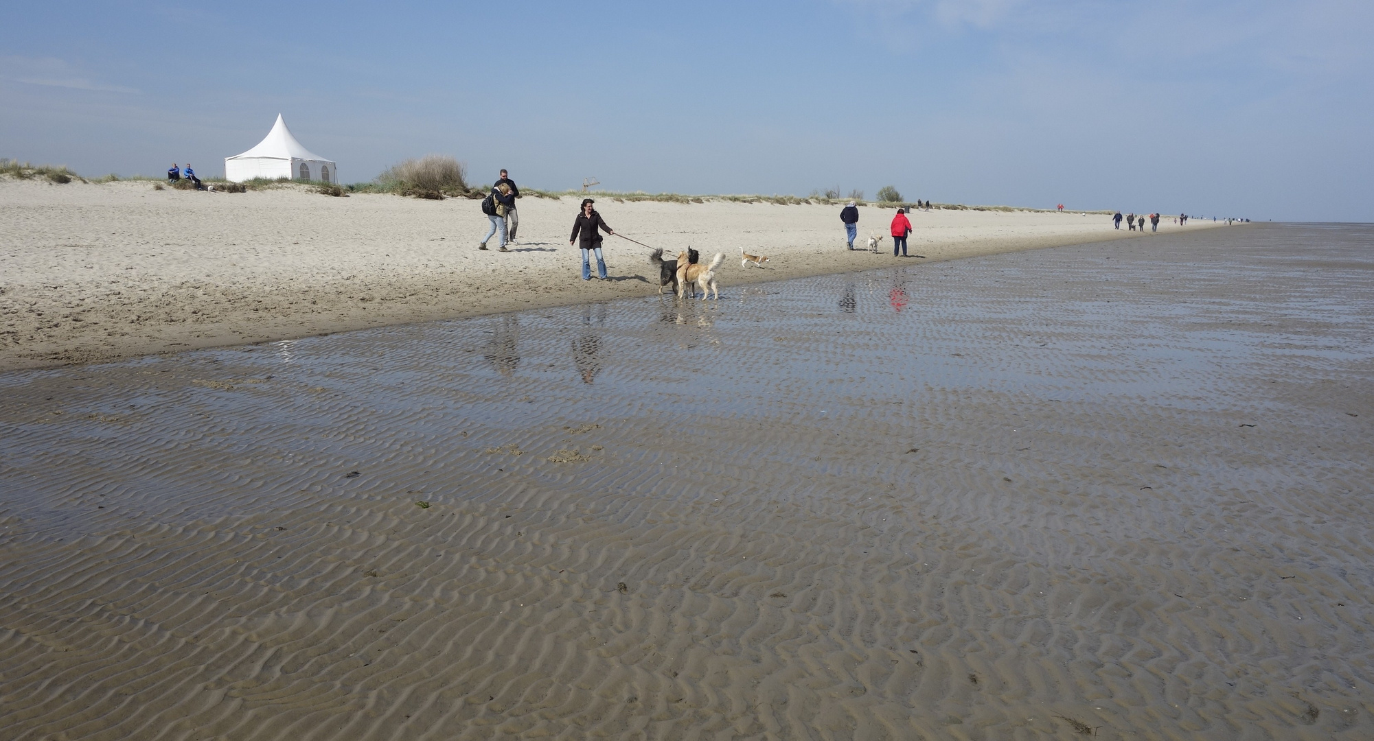 Der Hundestrand in Schillig