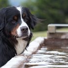 Der Hunger nach Brot ist groß, noch größer der Hunger nach Wasser.