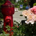Der Hydrant und die Blomen