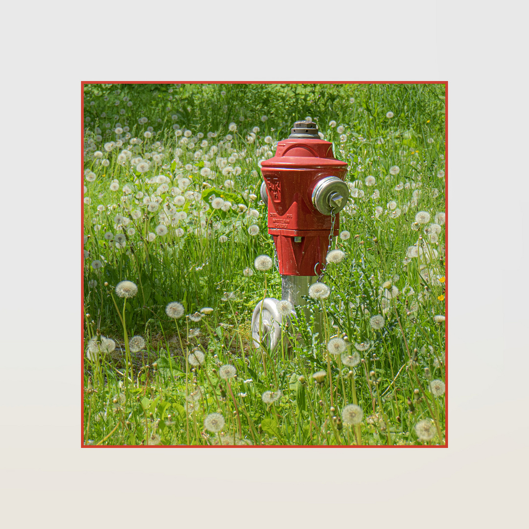 Der Hydrant vom Weinbergpark
