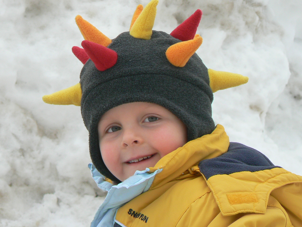 Der Igel hat Spass im Schnee