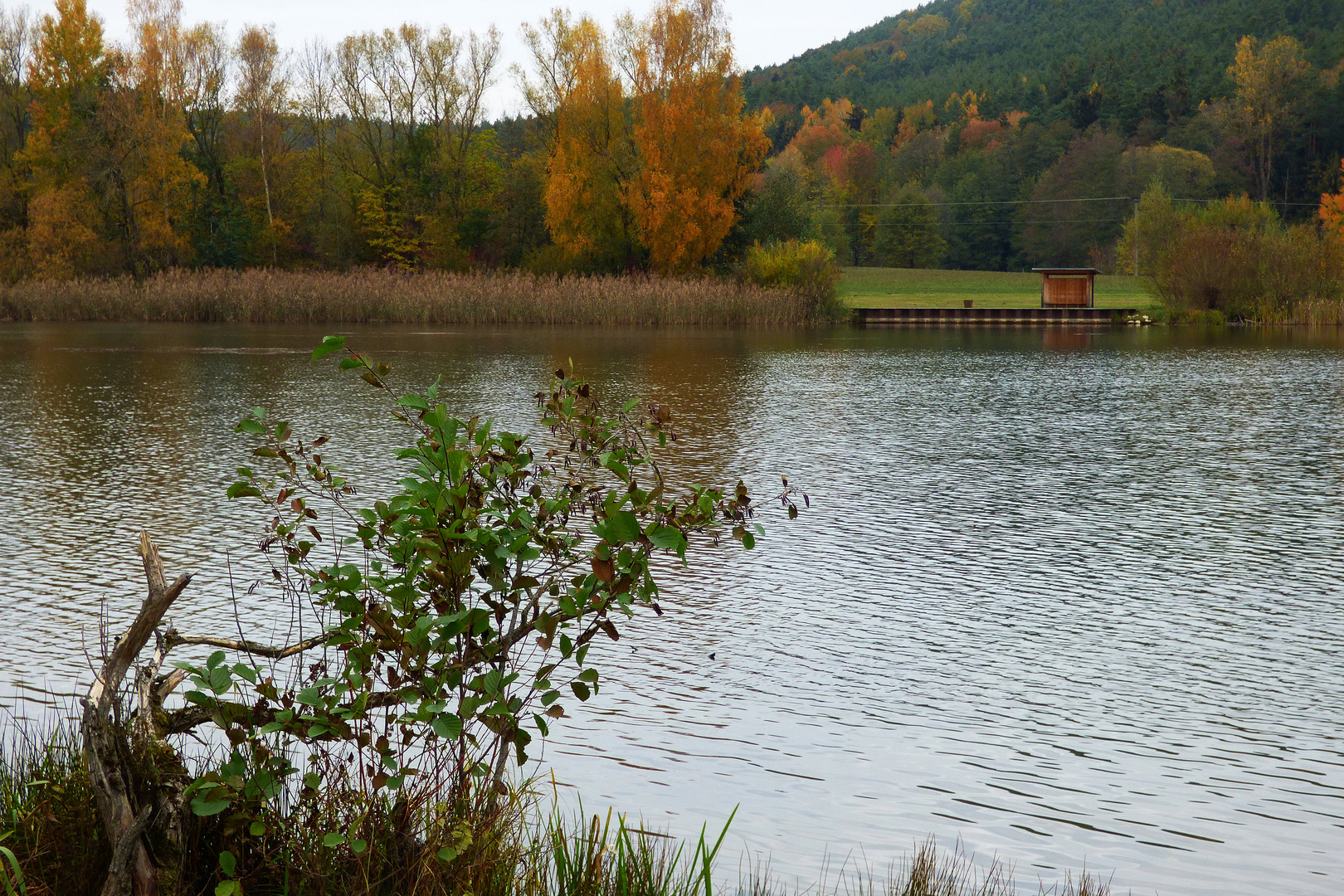 Der Igelsbachsee  