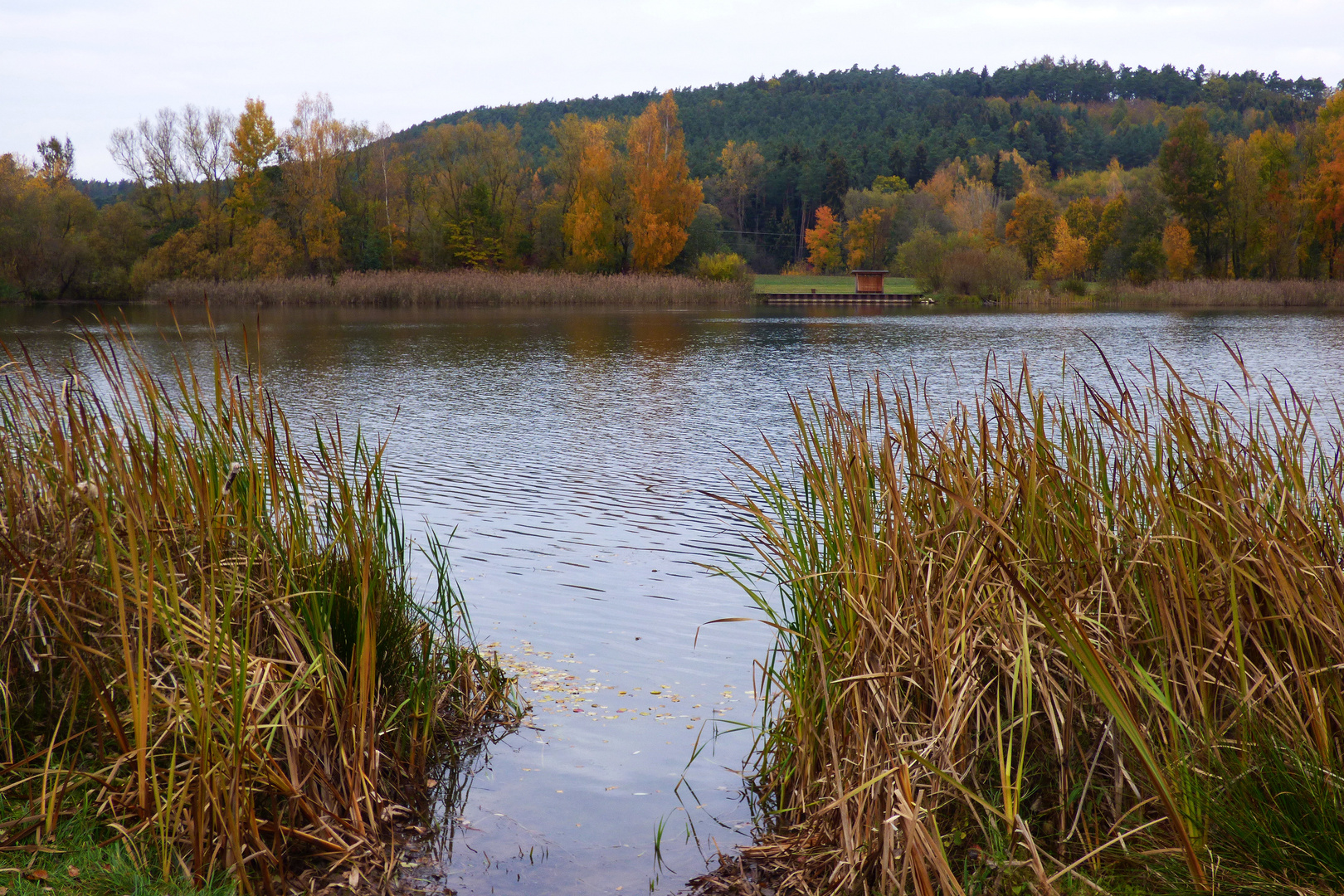 Der Igelsbachsee Foto & Bild deutschland, europe, bayern Bilder auf