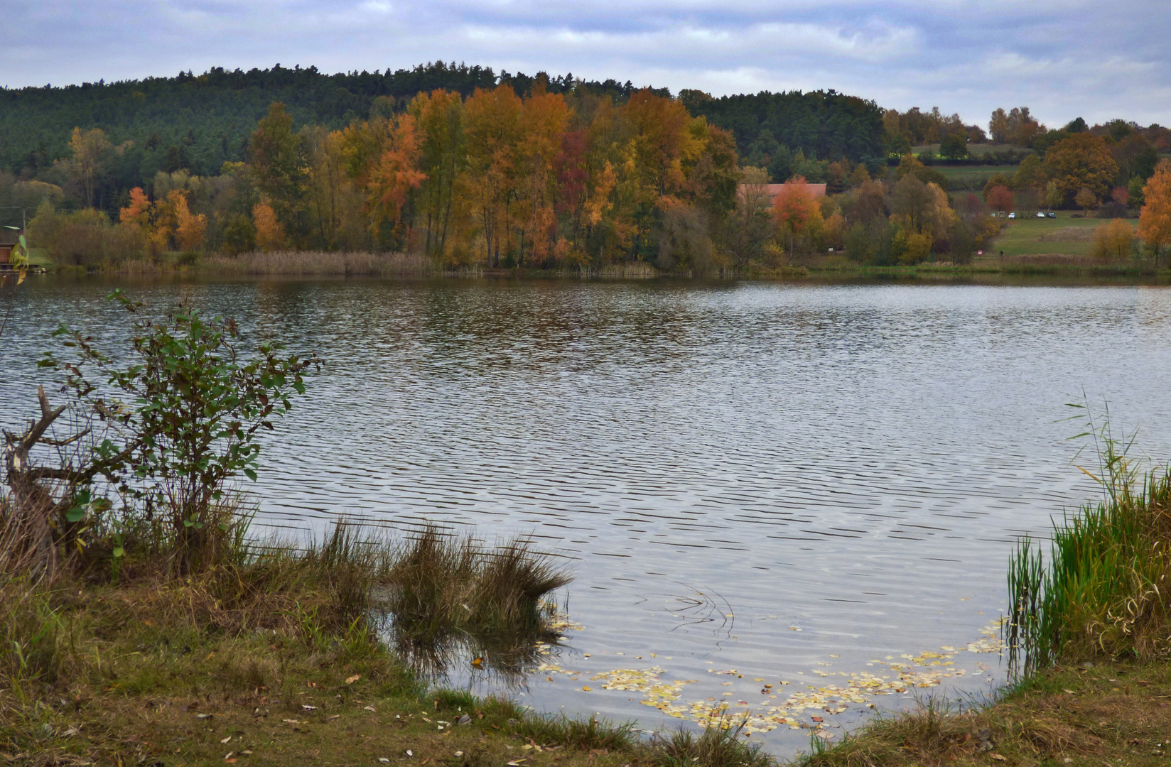 Der Igelsbachsee  