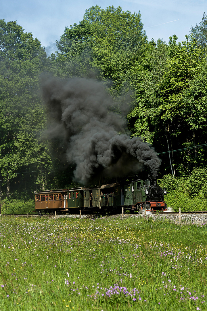 Der IK-Zug im Preßnitztal