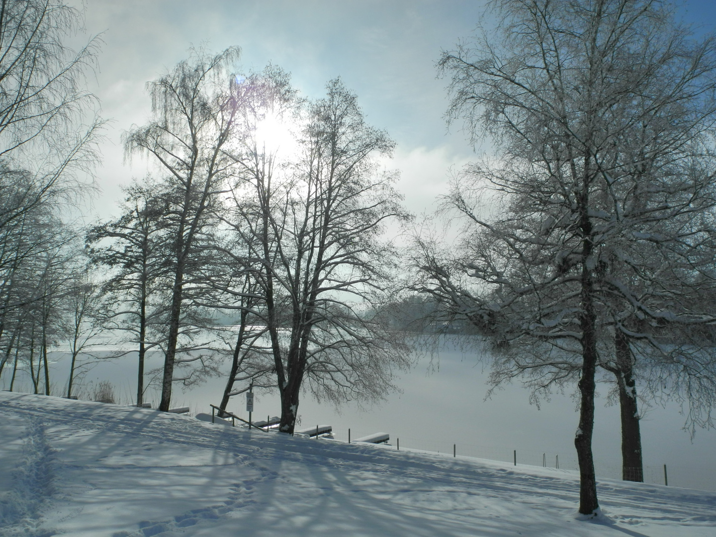 Der Illmensee im Januar