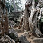 Der Innenbereich des Tempels Ta Phrom