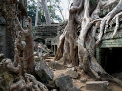 Der Innenbereich des Tempels Ta Phrom