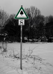 Der Innenstadt-Parkplatz ... die geschützte Grünfläche