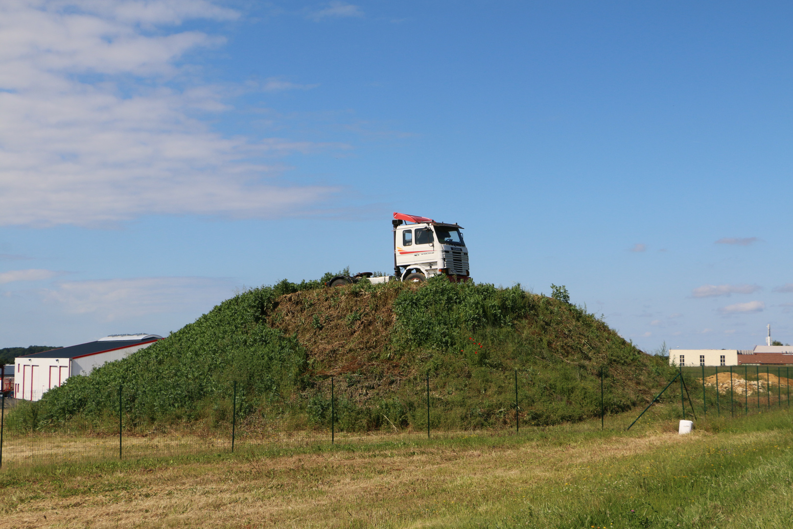 Der ins Gras beißt