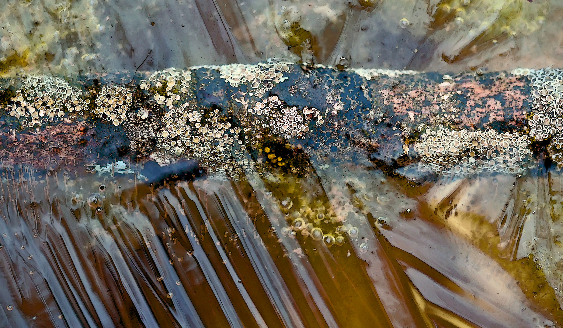 Der ins Wasser gefallene Ast ist tief gefroren! - Une branche est tombée dans l'eau et a gelée..!