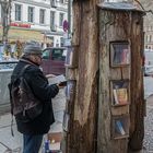 Der interessante Bücherbaum