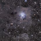 Der Iris Nebel im Sternbild Cepheus