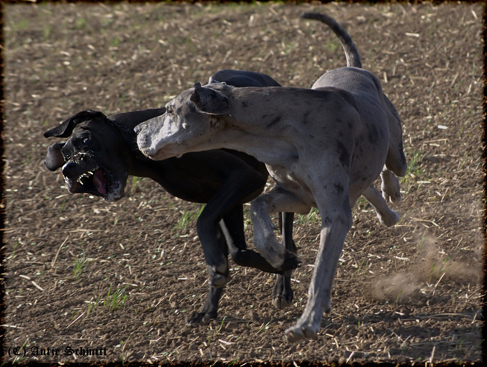 Der Irre Blick!