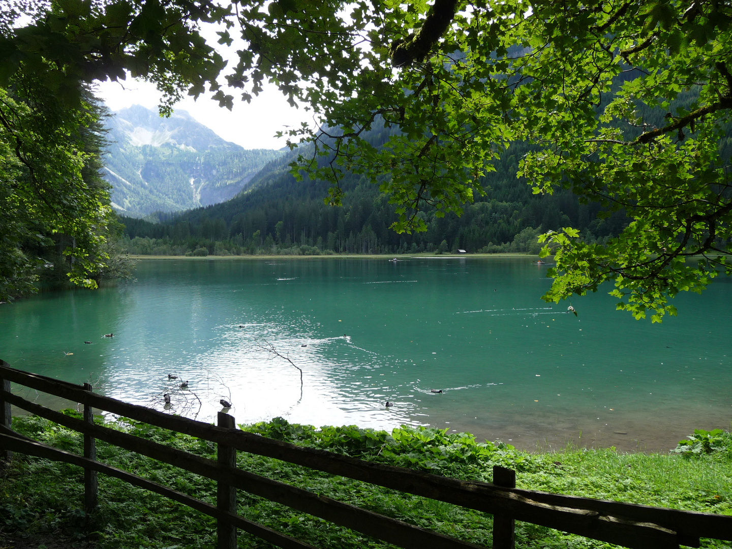 Der Jägersee nahe Klein Arl - Österreich