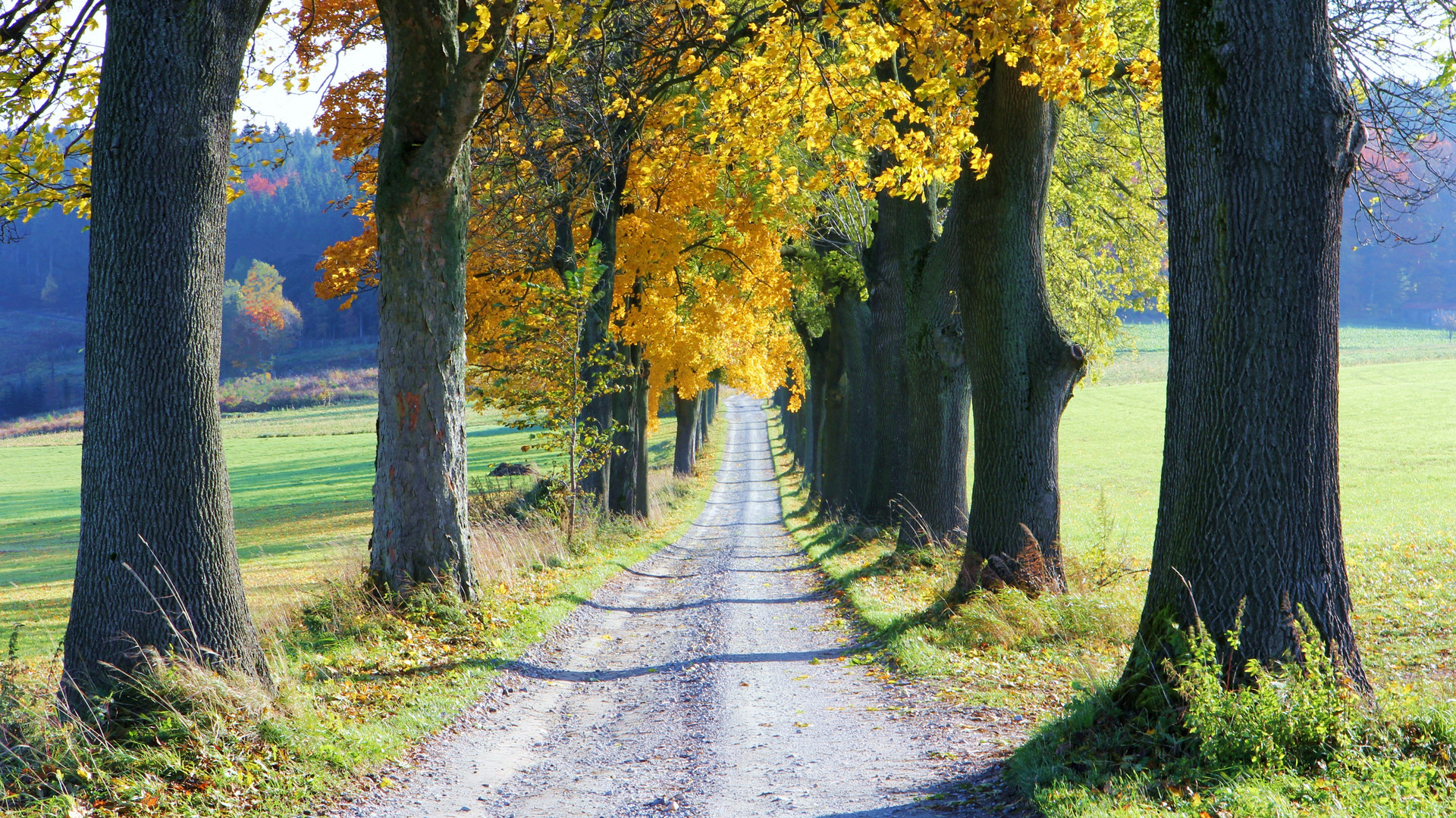 Der `Jägersteig`in Lauterbach (Erzgebirge) in Nähe des `Dörrhauses`