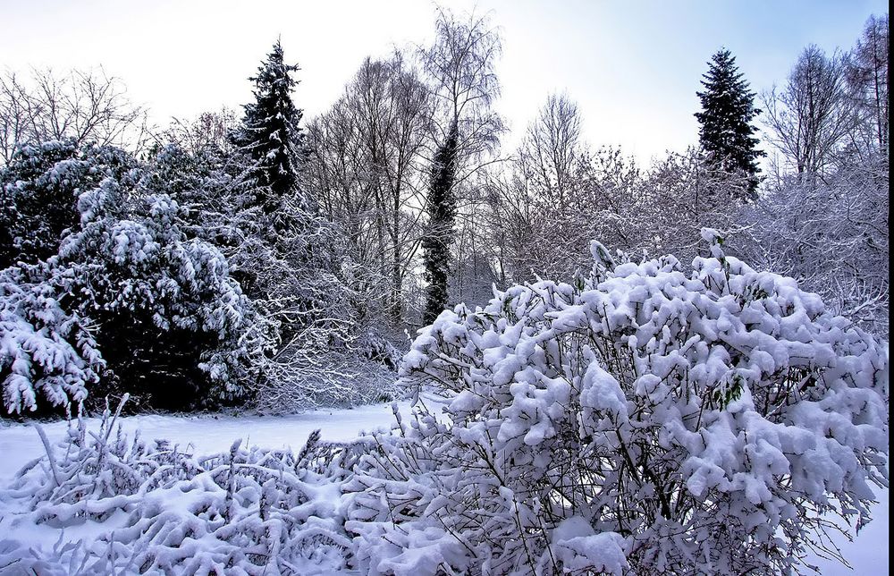 Der jährliche Gartenwinter ...