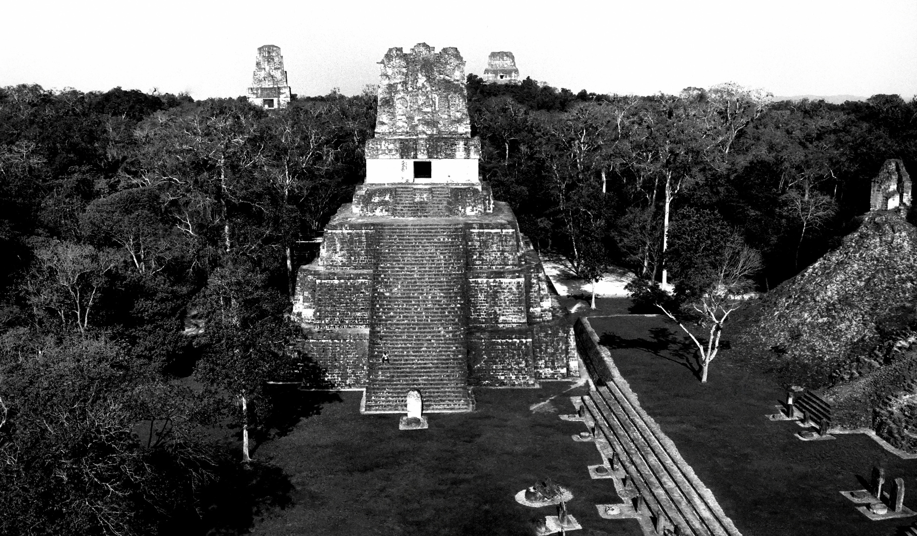 Der Jaguar Tempel in Tikal