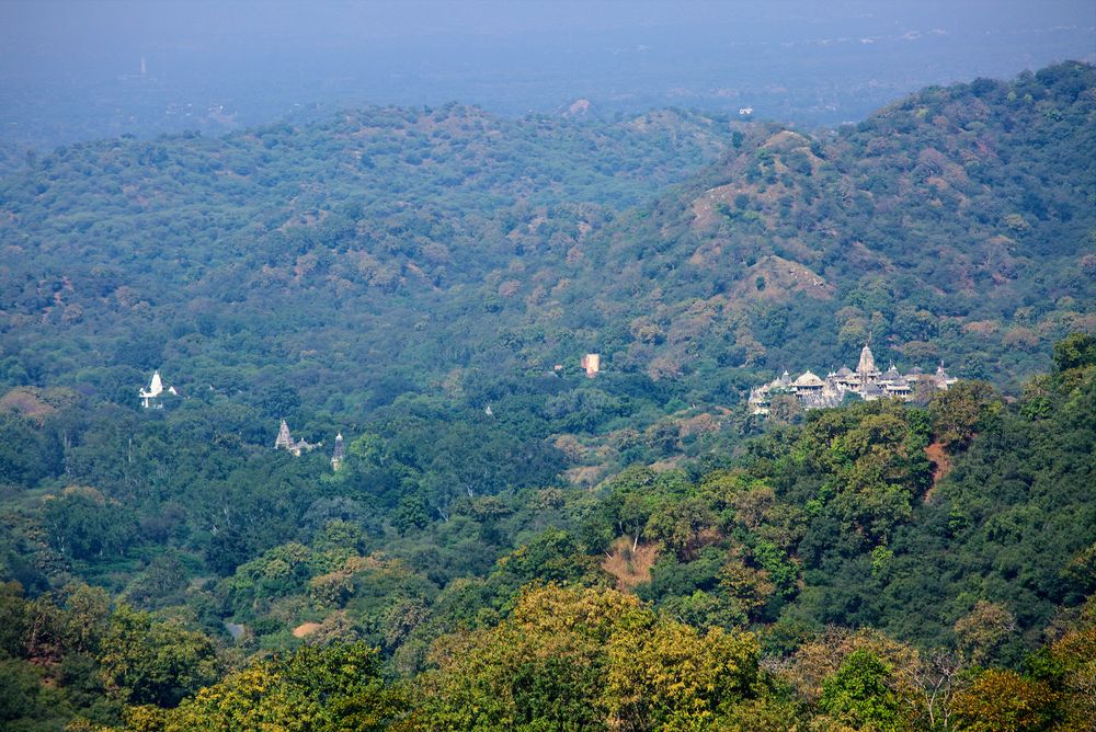 Der Jaintempel von Ranakpur
