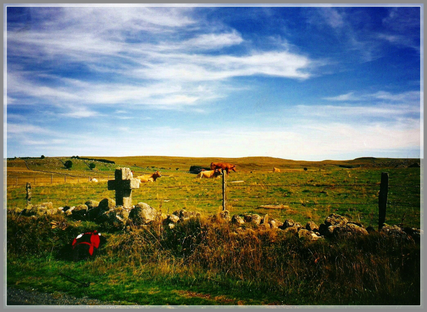 der Jakobsweg über die Hochebene des Aubrac