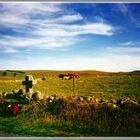 der Jakobsweg über die Hochebene des Aubrac