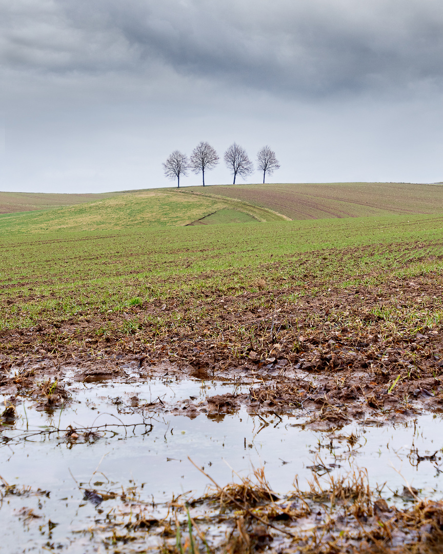 Der Januar ...