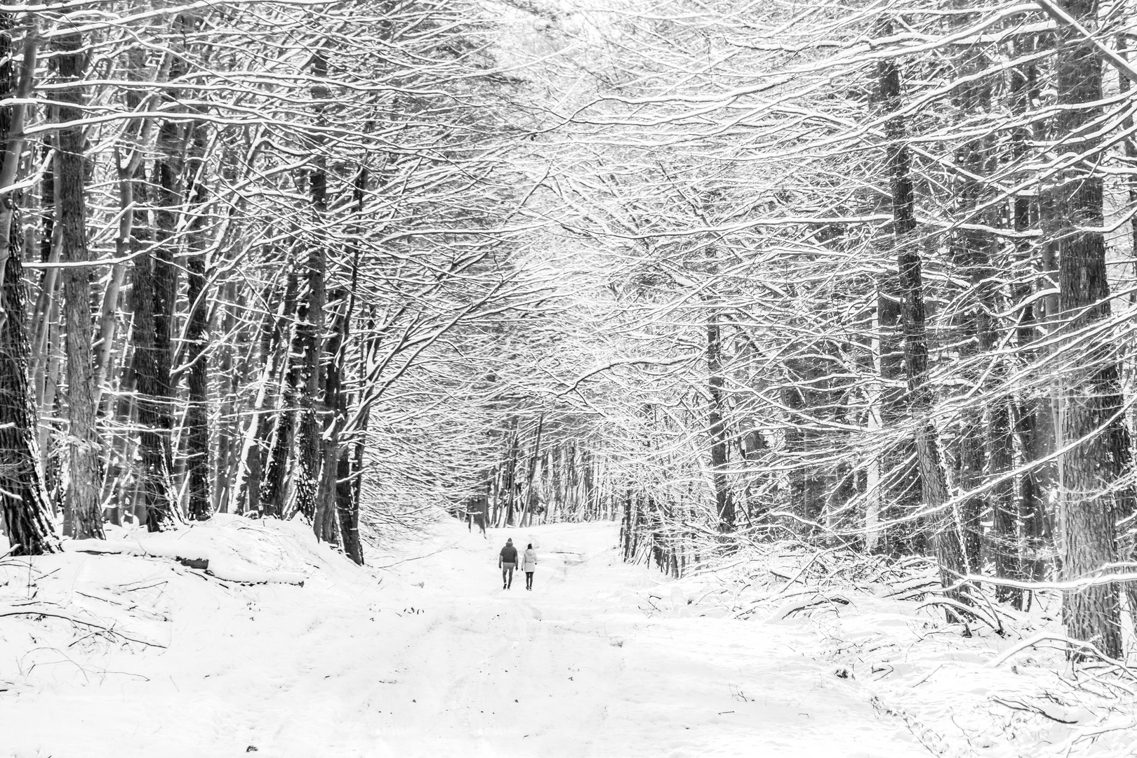 Der Januar- Winter in Nordwest-Mecklenburg (2)