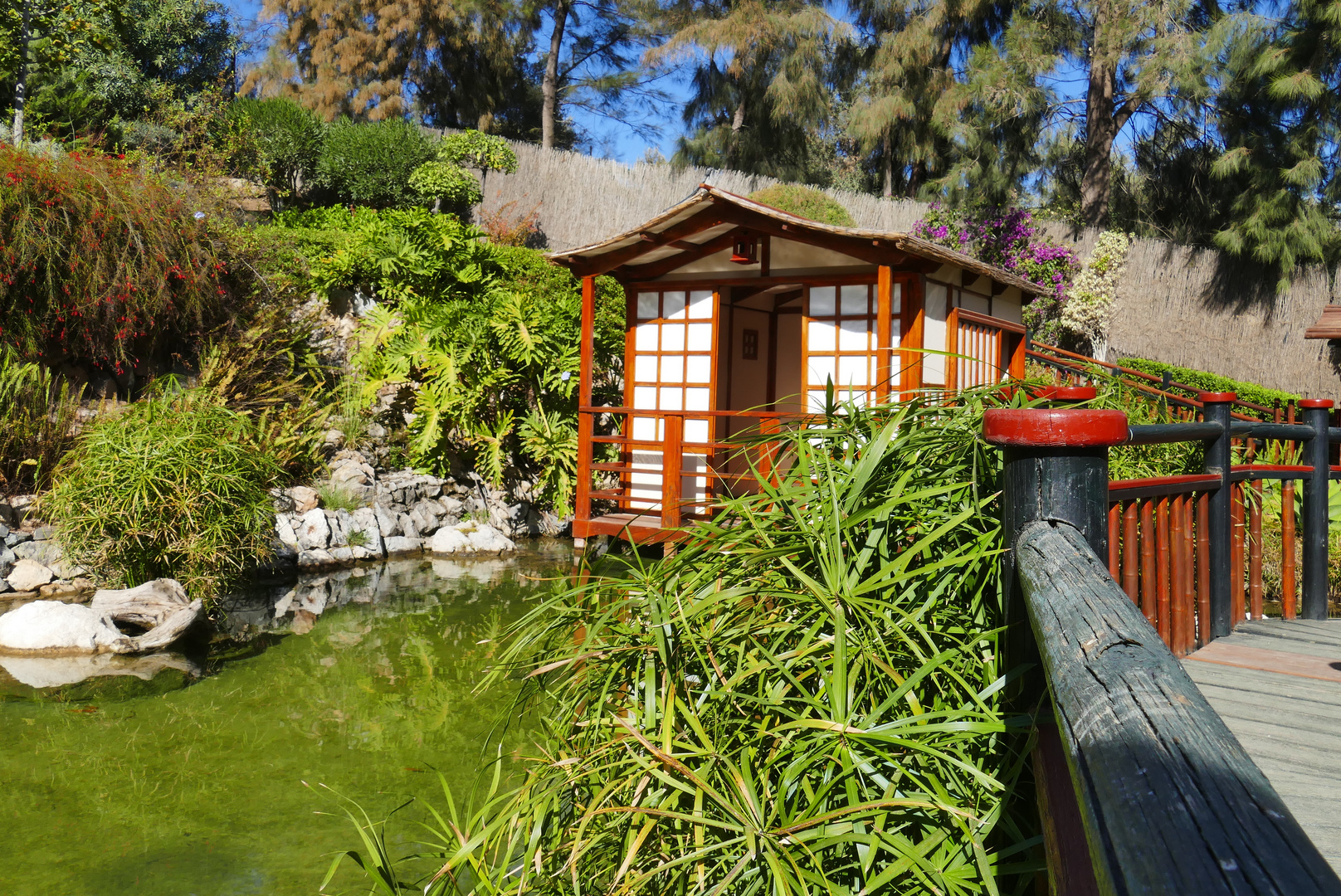 ...der japanische Garten... 