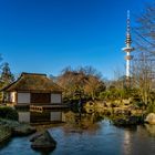 Der japanische Garten 