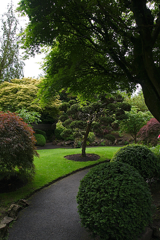 Der Japanische Garten....