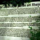Der japanische Garten am Rhein