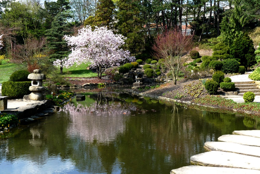 Der Japanische Garten...