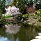 Der Japanische Garten...