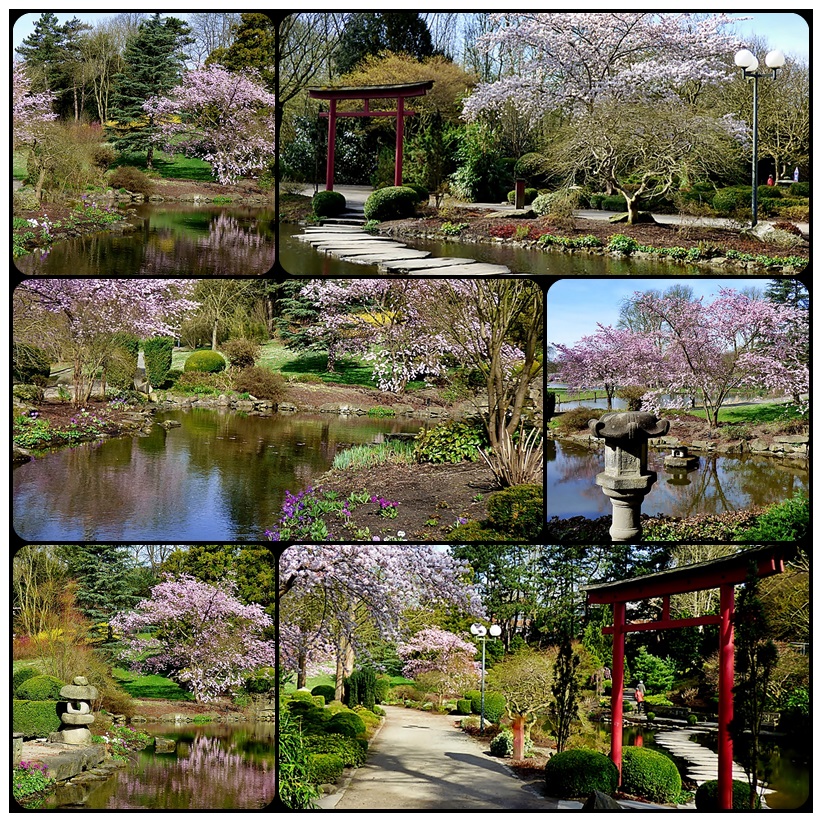 Der Japanische Garten . . .