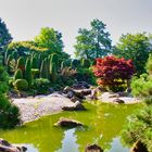 Der Japanische Garten I